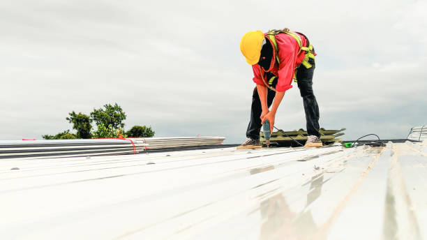 Best Green or Eco-Friendly Roofing Solutions  in Murphys Estates, SC