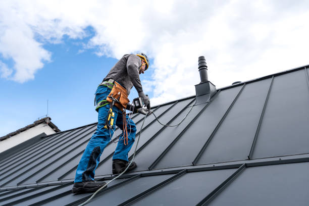 Best Sheet Metal Roofing  in Murphys Estates, SC